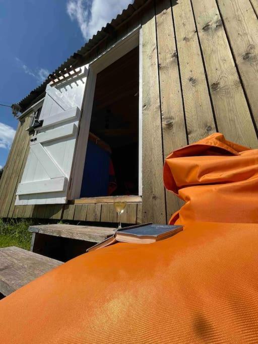 Shepherds Hut - Brecon Beacons Llangadog Ngoại thất bức ảnh